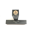 [656497101067 Prolux] Corrector Prolux #05 Medium Tan